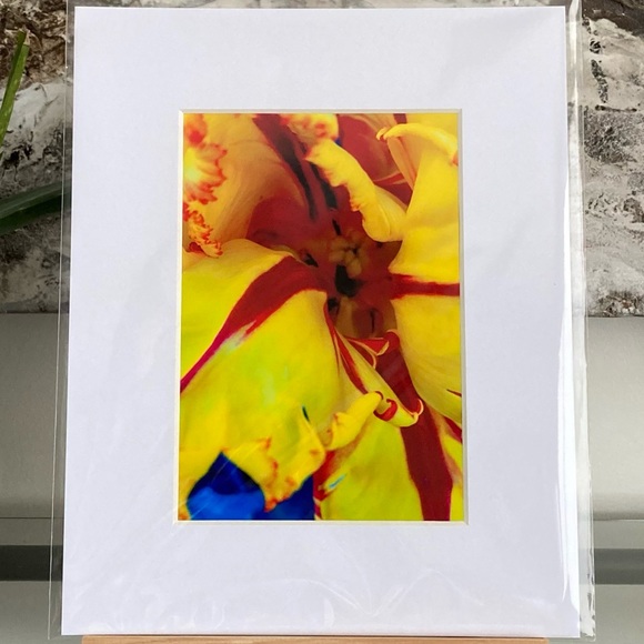 “JAUNE” ~ ORIGINAL ART by ~ @lisamichellebeckerphotography - Picture 10 of 12